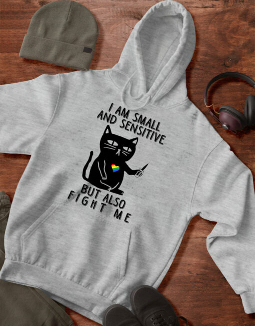 2020-11-Women-Hoodie-I-Am-Small-And-Sensitive-But-Also-Fight-Me-LGBT-Mockup4-Sport-Grey-1.jpg